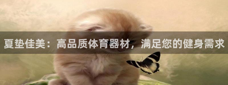 星欧娱乐官网首页：夏垫佳美：高品质体育器材，满足您的