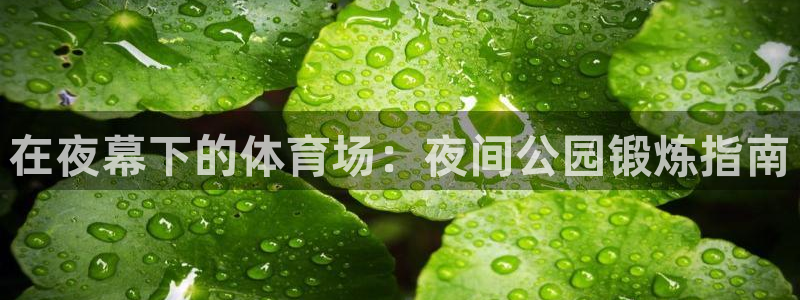 星欧娱乐平台量7O777：在夜幕下的体育场：夜间公园