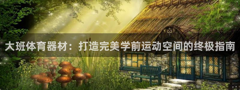 星欧娱乐平台测速线路怎么设置：大班体育器材：打造完美