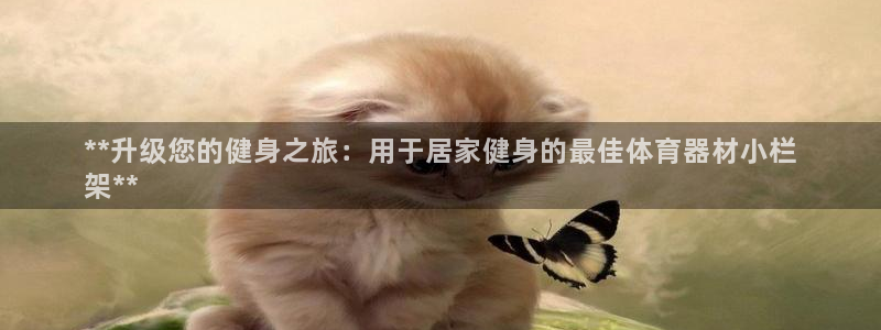 星欧娱乐属于什么档次的公司名称：**升级您的健身之旅