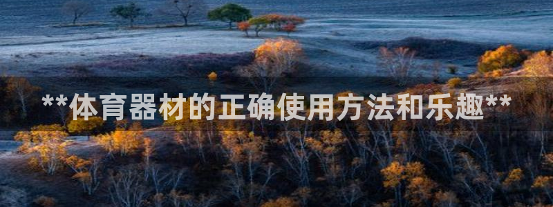 星奥娱乐集团股份有限公司怎么样：**体育器材的正确使