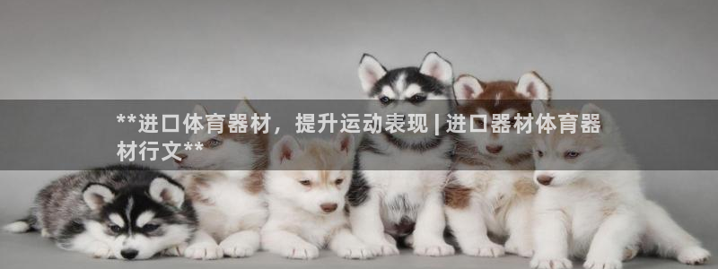 江苏星奥娱乐有限公司报名：**进口体育器材，提升运动