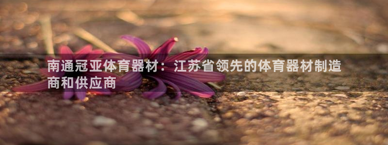 星欧娱乐的创始人背景故事简介：南通冠亚体育器材：江苏