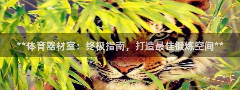 星奥盛典娱乐会所：**体育器材室：终极指南，打造最佳