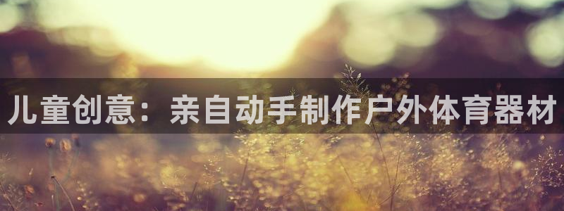 星乐娱乐官网：儿童创意：亲自动手制作户外体育器材