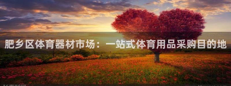 星欧娱乐属于什么档次的软件公司：肥乡区体育器材市场：