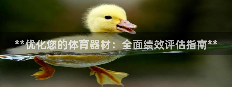 星欧娱乐挂机赚钱：**优化您的体育器材：全面绩效评估