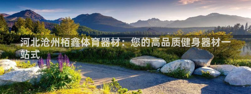 星欧娱乐挂机赚钱软件：河北沧州栢鑫体育器材：您的高品