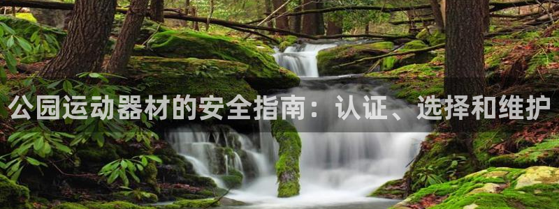 公园运动器材的安全指南：认证、选择和维护