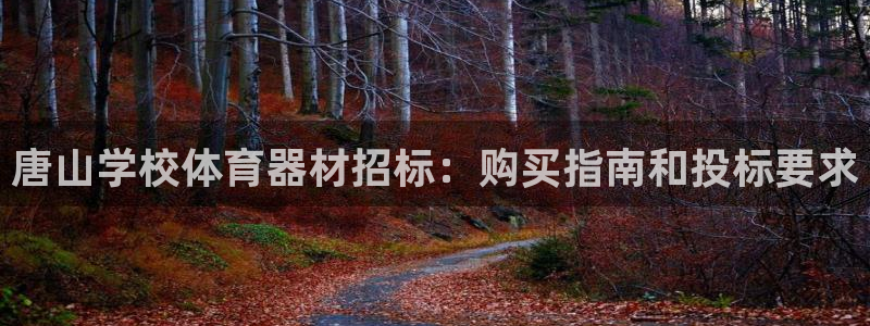 星欧娱乐平台怎么样知乎：唐山学校体育器材招标：购买指