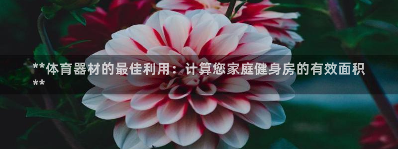 星欧娱乐是正规品牌吗