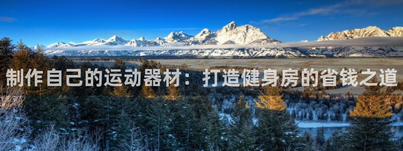 澳星国际娱乐集团：制作自己的运动器材：打造健身房的省