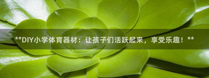 江苏星奥娱乐：**DIY小学体育器材：让孩子们活跃起