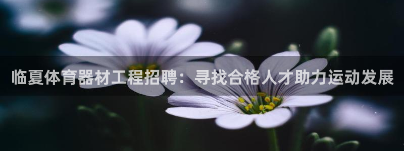 星欧娱乐平台地7O777：临夏体育器材工程招聘：寻找