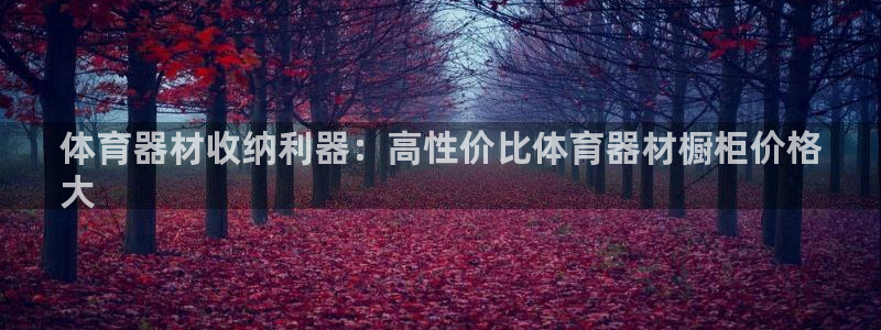 星欧娱乐是正规平台吗：体育器材收纳利器：高性价比体育
