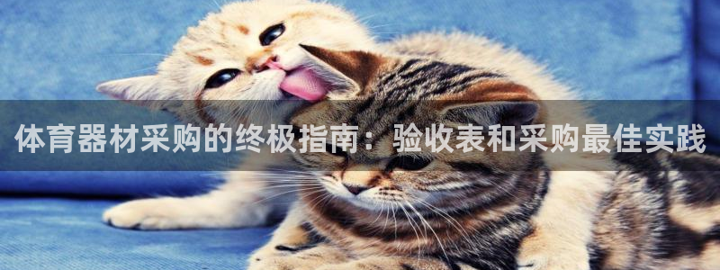 星欧娱乐是正规平台吗可靠吗：体育器材采购的终极指南：