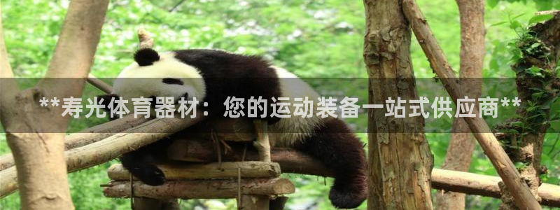 星欧娱乐扣款时间查询方法怎么查不到：**寿光体育器材