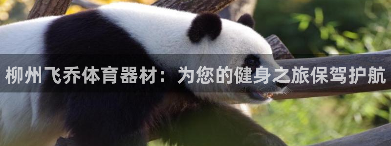 江苏星奥娱乐有限公司报名