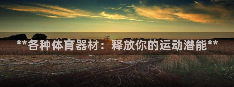 星欧娱乐平台怎么样可靠吗知乎：**各种体育器材：释放