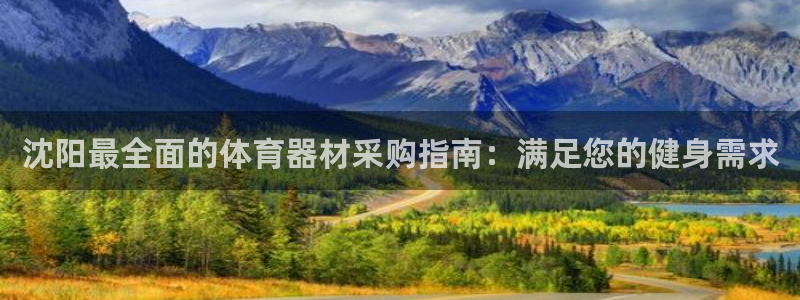 星奥娱乐集团是国企吗：沈阳最全面的体育器材采购指南：