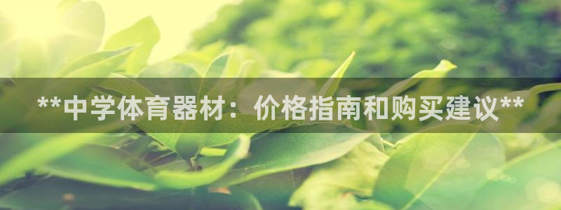 星奥娱乐怎么样：**中学体育器材：价格指南和购买建议