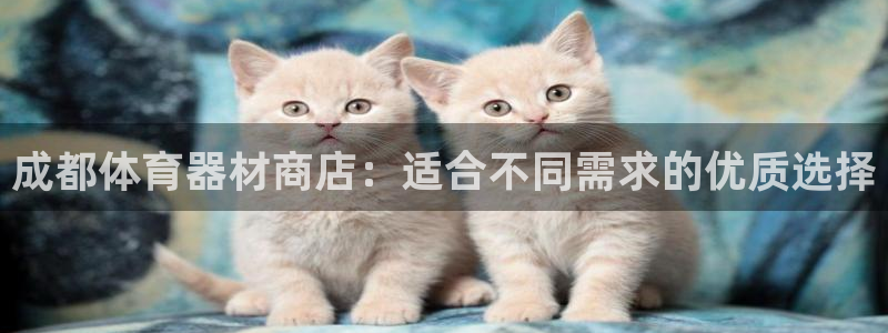 星欧娱乐app最新版本更新内容：成都体育器材商店：适