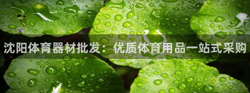 星乐娱乐官网：沈阳体育器材批发：优质体育用品一站式采