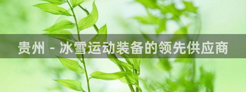星欧娱乐的官方版本更新内容：贵州 - 冰雪运动装备的