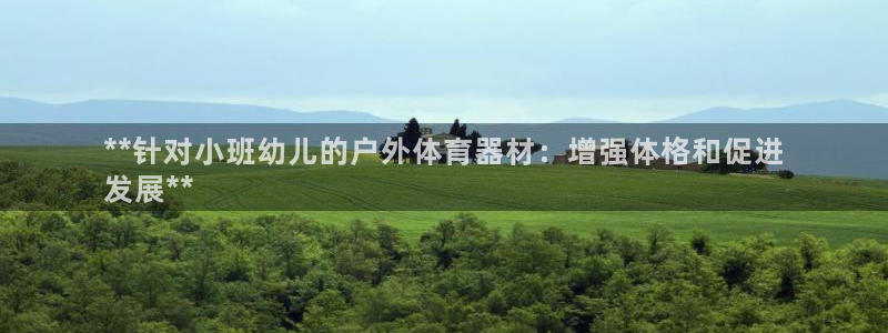 星欧娱乐官网首页入口：**针对小班幼儿的户外体育器材