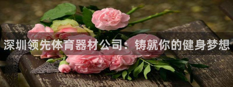 星欧娱乐工711.112怎么没有了：深圳领先体育器材