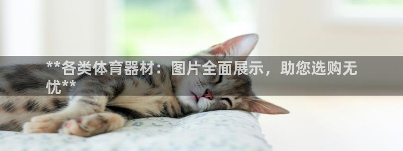 星欧娱乐扣款时间查询方法是什么呢：**各类体育器材：
