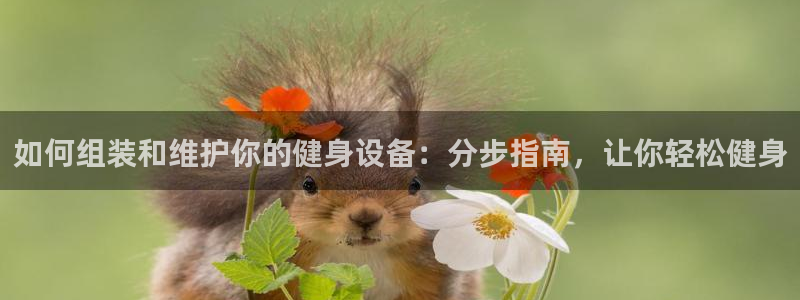 星欧娱乐是正规平台吗知乎文章：如何组装和维护你的健身