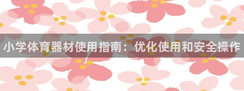 星奥娱乐怎么样：小学体育器材使用指南：优化使用和安全