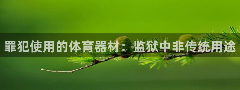 星欧娱乐游戏中心官网登录：罪犯使用的体育器材：监狱中