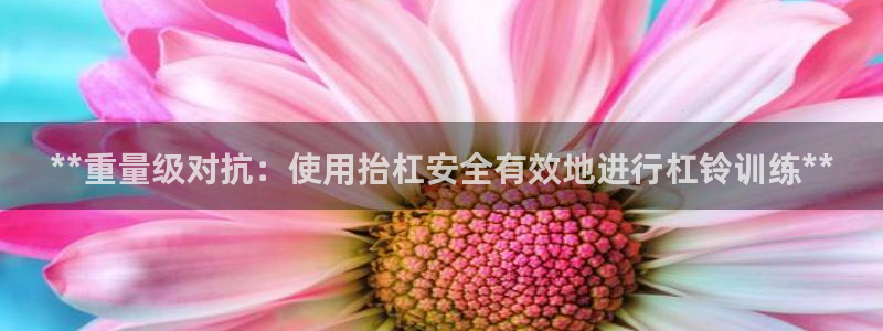 星娱乐包月业务是什么：**重量级对抗：使用抬杠安全有