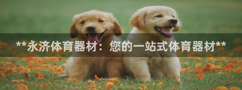 星欧娱乐退款流程详解：**永济体育器材：您的一站式体