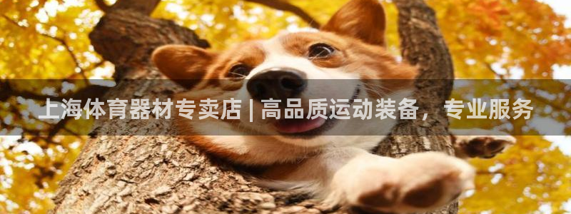 星欧娱乐扣款流程详解视频播放：上海体育器材专卖店 |