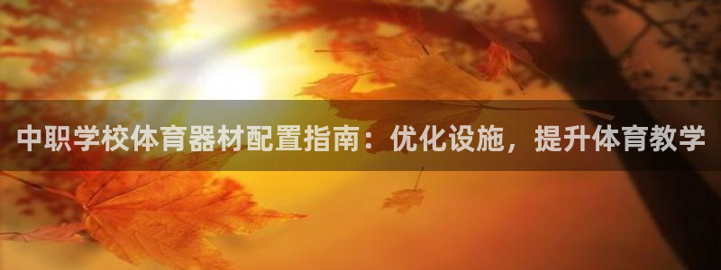 星欧娱乐联最新功能介绍：中职学校体育器材配置指南：优