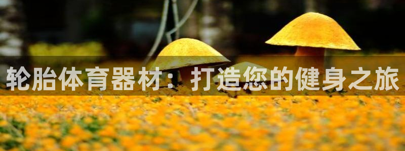 星欧娱乐属于什么档次的网站啊：轮胎体育器材：打造您的