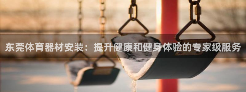 星欧娱乐和嫲薇他的区别是什么：东莞体育器材安装：提升