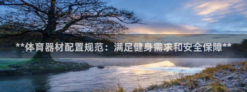 星欧娱乐公司创始人背景故事简介：**体育器材配置规范