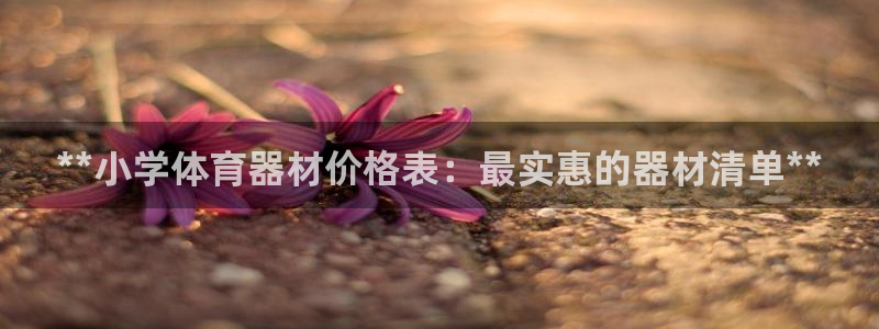 星欧娱乐最建议买的三个产品是哪三个：**小学体育器材