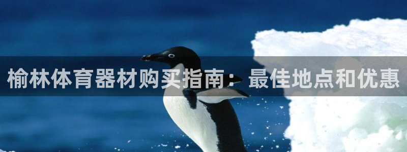 星欧娱乐平台怎么样：榆林体育器材购买指南：最佳地点和