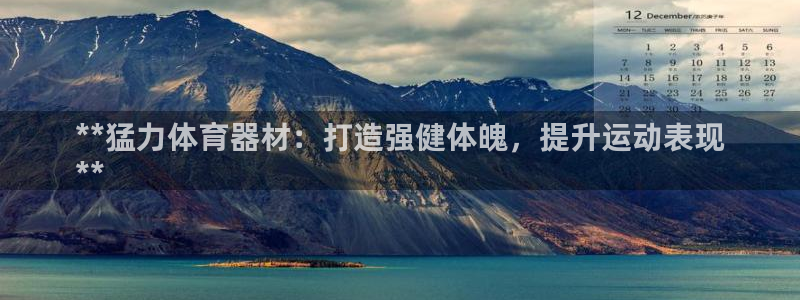 星欧娱乐公司创始人背景故事是什么：**猛力体育器材：