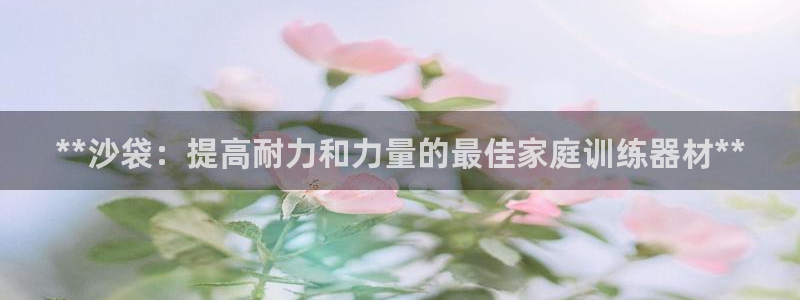 星欧娱乐被扣款7IIII怎么关闭：**沙袋：提高耐力
