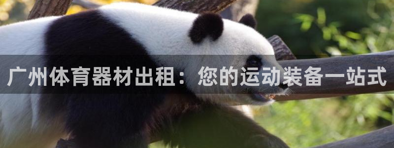 星欧娱乐联和哪个品牌合作：广州体育器材出租：您的运动