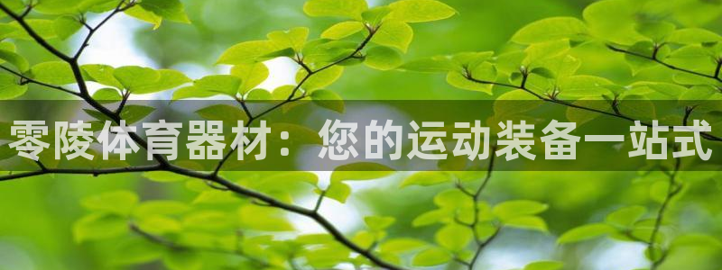 星欧娱乐最建议买的三个产品是哪三个：零陵体育器材：您