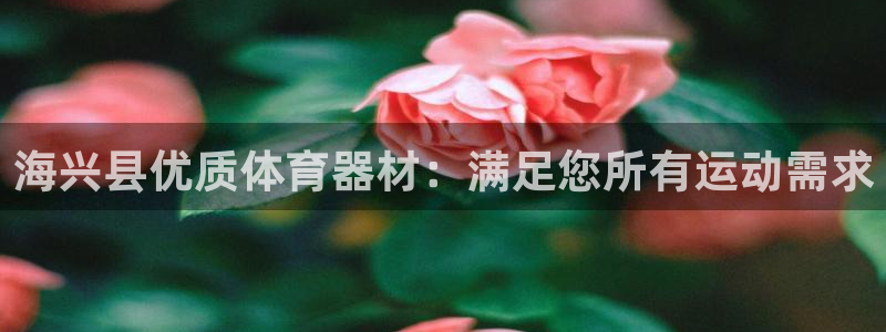 星欧娱乐平台怎么样啊：海兴县优质体育器材：满足您所有