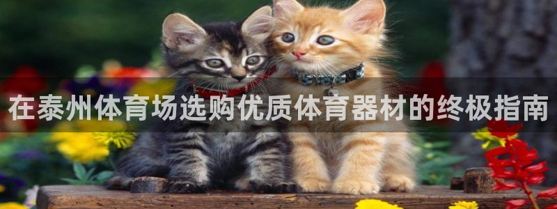 星欧娱乐联最新功能介绍