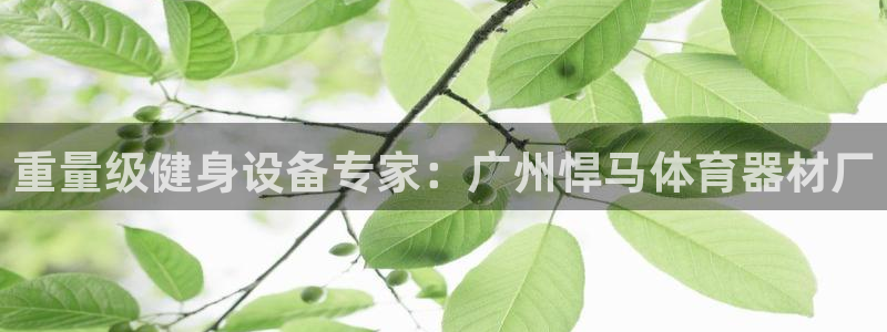 星欧娱乐联客服联系方式：重量级健身设备专家：广州悍马